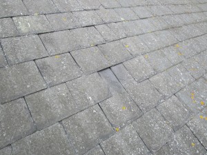 Roof maintenance Blog Pic 3 (04.08.16)